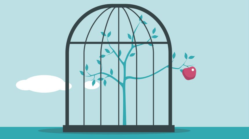 Una gabbia per uccelli all'interno della quale c'è una pianta. Dalla gabbia fuoriesce un ramo con una mela.