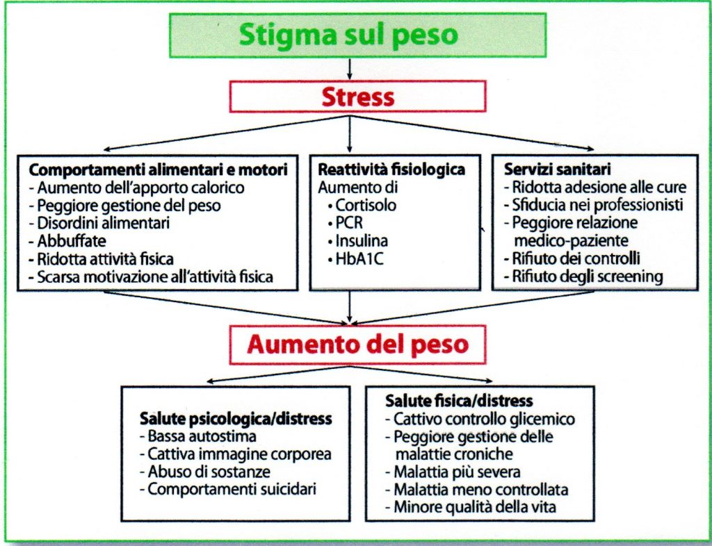Figura1. Diagramma che rappresenta il percorso dallo stigma sul peso allo stress e all'aumento di peso