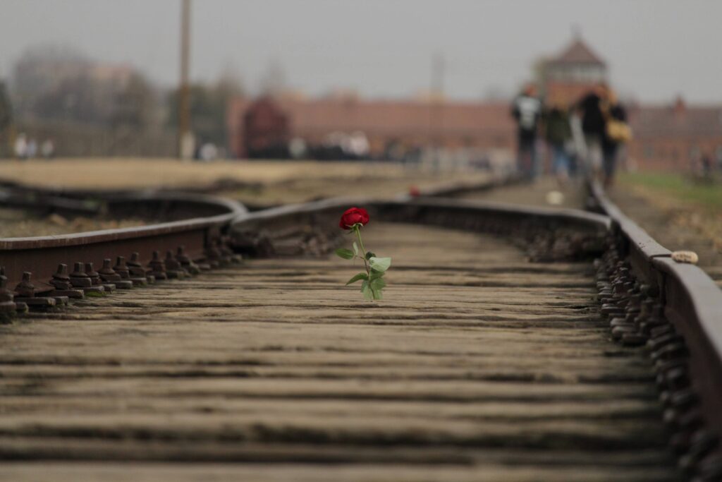 In primo piano i binari che conducono ad Auschwitz che si intravede sfocato sullo sfondo, sospesa sopra i binari una rosa rossa